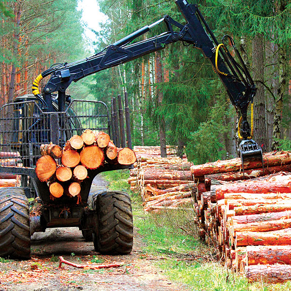 7b-land-management-logging